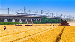 世界十大最美树屋，它宛如仙境一般。