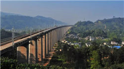 世界上最大的狗和最小的狗相遇