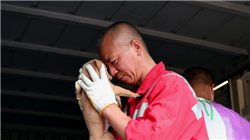 中国海拔最高的盆地是柴达木盆地，这里风景美不胜收