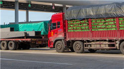 替身美过明星的十大替身，女星被打脸(图)