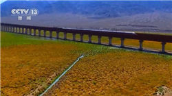 热水枸杞保温杯，普洱茶品牌供朋克养生团选择