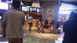 十大最贵多肉，最贵的只能人远观而不能亵玩