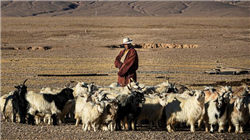 中国最美十大海岛排名，你去过几个了呢？