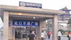 什么狗最聪明？世界十大最聪明的狗排名