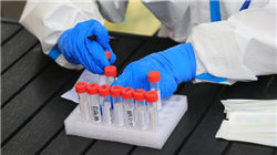 世界十大著名制糖国家，中国不负众望稳居第三。