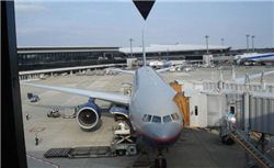 世界十大奇异宠物，鲨鱼蟒蛇当宠物(太吓人了)