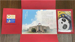 中国最美英语老师肖珠——佟丽娅和董璇结合体