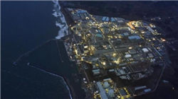 世界十大最佳鸡品种排行榜，肉质鲜美品种优良。