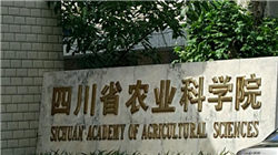 世界上吸烟人口最多的国家排名，中国不在其中！