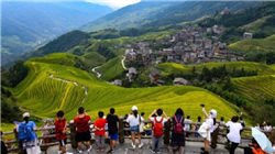 世界十大透明生物，玻璃蛙内脏清晰可见