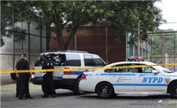 中国十大毒蛇排名，看见这些蛇就赶紧跑