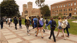 变形记家中最有钱排名前十，林子濠家里的画值几个亿