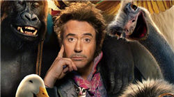 世界十大最恐怖的昆虫，被它咬一口足以致命