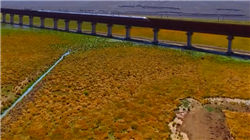 中国快递公司排名前十 没有意外顺丰第一实力说了算！