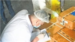 世界十大最理想的女性排行榜，男人梦寐以求的对象。