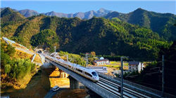 世界十大最恐怖的森林，日本自杀森林，已发现600人自杀！