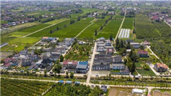 皇帝最宠的妃子，竟然没有生育能力