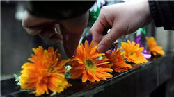 全球十大传媒公司，市值高达2000多亿美元！