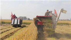 世界上最有钱的国家TOP10，到底是那些国家呢？