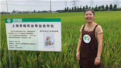 中国高中排行榜，毛坦厂中学竟然没上榜！