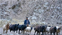 中国人数最少的民族排行，有一个民族只有3000多人