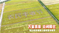 世界十大最美大胸，看后别喷鼻血，第八是脱衣舞娘