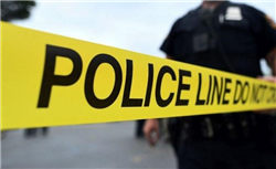 世界十大听力最优秀的动物，比人的听力都好。