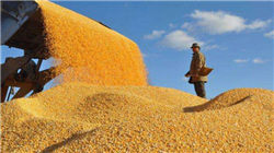 红遍网络的神秘快手花姐是谁？