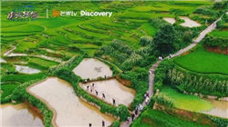 全球十大赏秋胜地，黄山的秋之美看了才知道