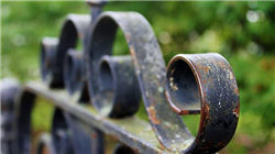 世界上最年轻的奶奶 30岁美女抱孙子