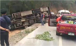 中国最美10大校花，章泽天最美(智慧与美貌并重)