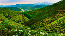 盘点中国四大渔场排行榜，每一个都有自己的特色。