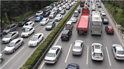 治疗秃顶的十种方法，倒立牛尿洗头你听过没