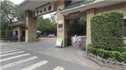 世界最强壮的小孩，被称为儿童版施瓦辛格！