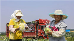 世界十大著名科学家，这些科学家改变了世界！