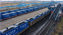 世界十大茶叶生产国，中国以1000130吨位列世界第一！