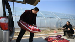 最有悬念的电影十大排行榜，盗梦空间竟然只在第二！