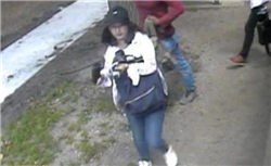 世界十大畅销猫品种，斯芬克斯排名第一