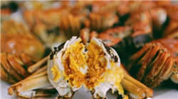 世界上最危险的10座火山，美国黄石公园火山第一