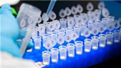 安静的歌曲大全，听完整个人都平静下来（适合睡眠，思考）