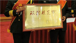 世界上最古老的树，寿命已经4842岁了